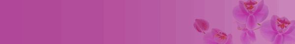 vagisil.ru