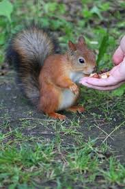 <a href="/diseases/desc174.html"></a>