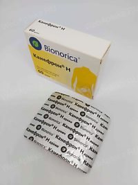 Канефрон Н При Цистите Цена
