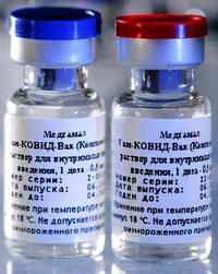 Гам-КОВИД-Вак (Спутник V)